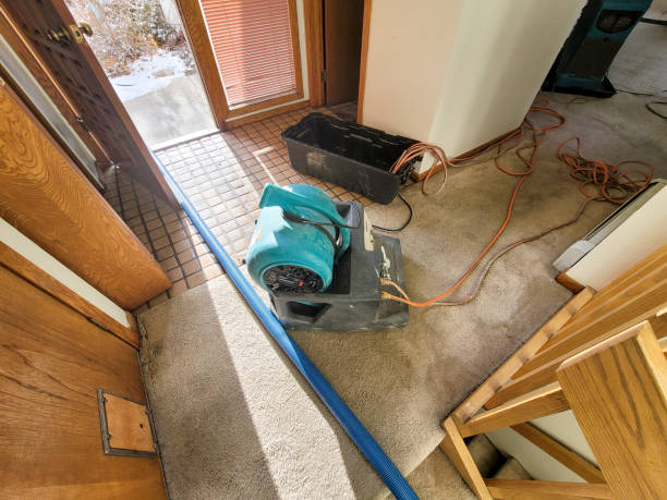 Best Commercial water damage restoration  in Scottdale, PA