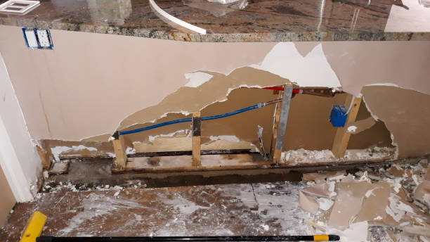 Best Mold removal after water damage  in Scottdale, PA