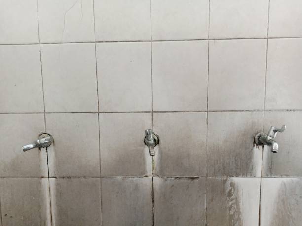 Best Water damage restoration specialists  in Scottdale, PA