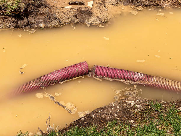 Best Water damage restoration mold remediation  in Scottdale, PA