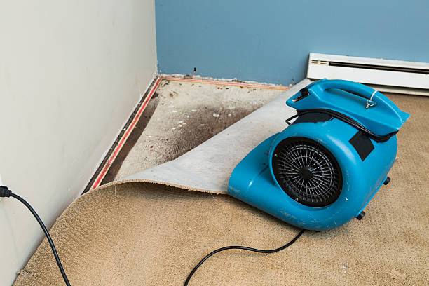 Best Flood damage cleanup  in Scottdale, PA